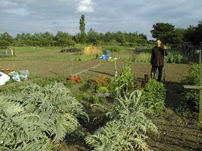 Foster Road allotments, Trumpington