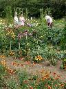 Visitors on Mr Holden's plot