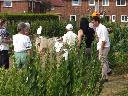 Visitors on Dave's plot