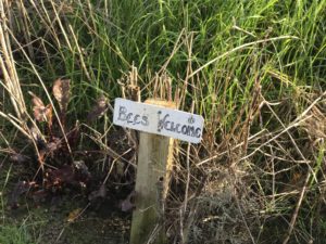 A sign saying "Bees Welcome".