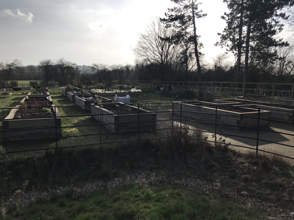 Raised beds in the foreground and conventional allotment plots behind.